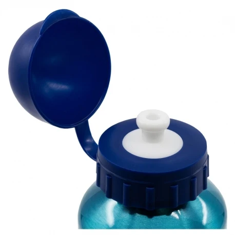 Botella Aluminio Bluey Carameluchi modas