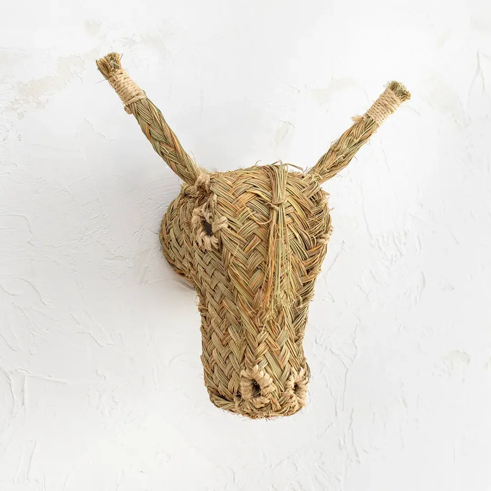 Cabeza Burro Grande Jacinto Luque