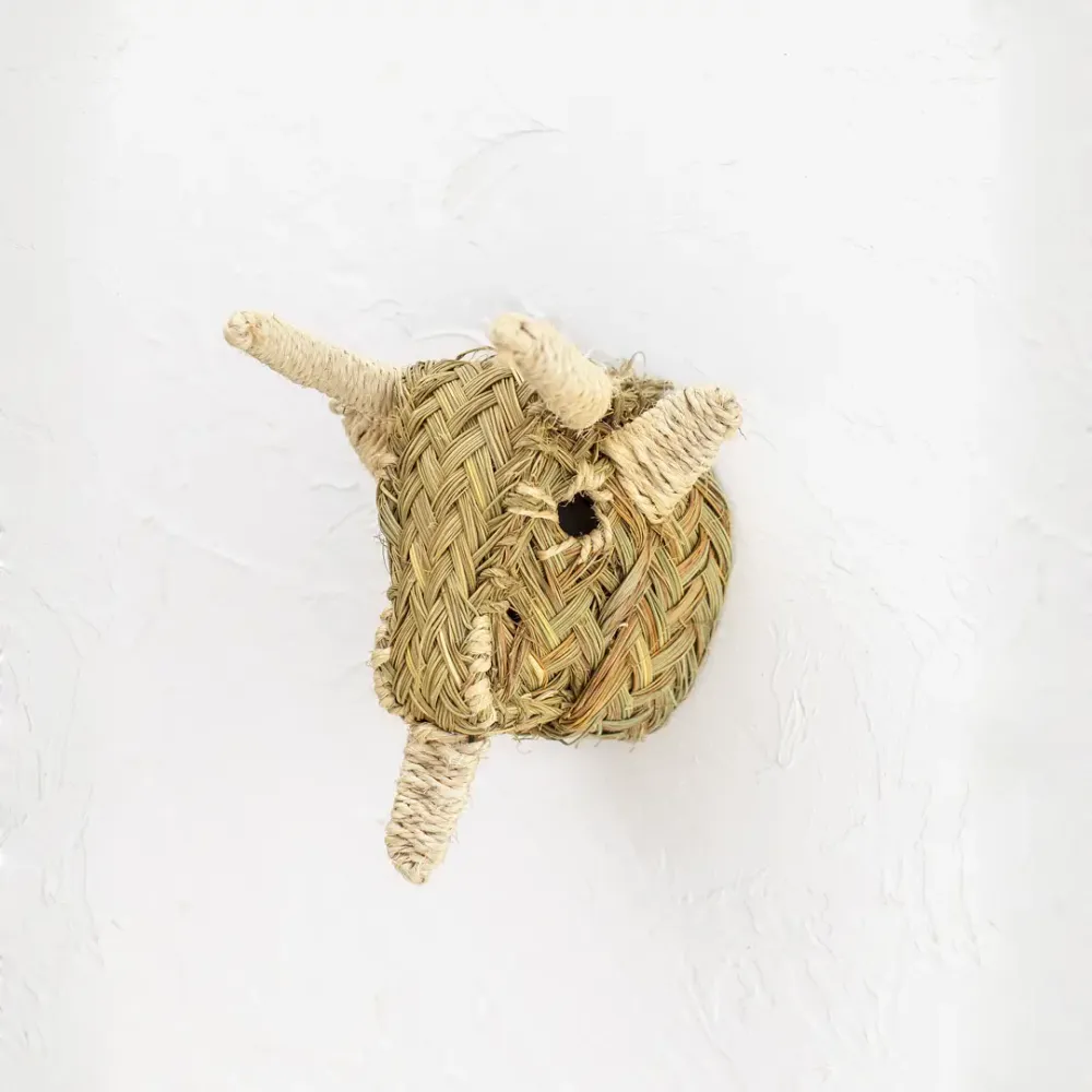 Cabeza Torito Pequeño Jacinto Luque