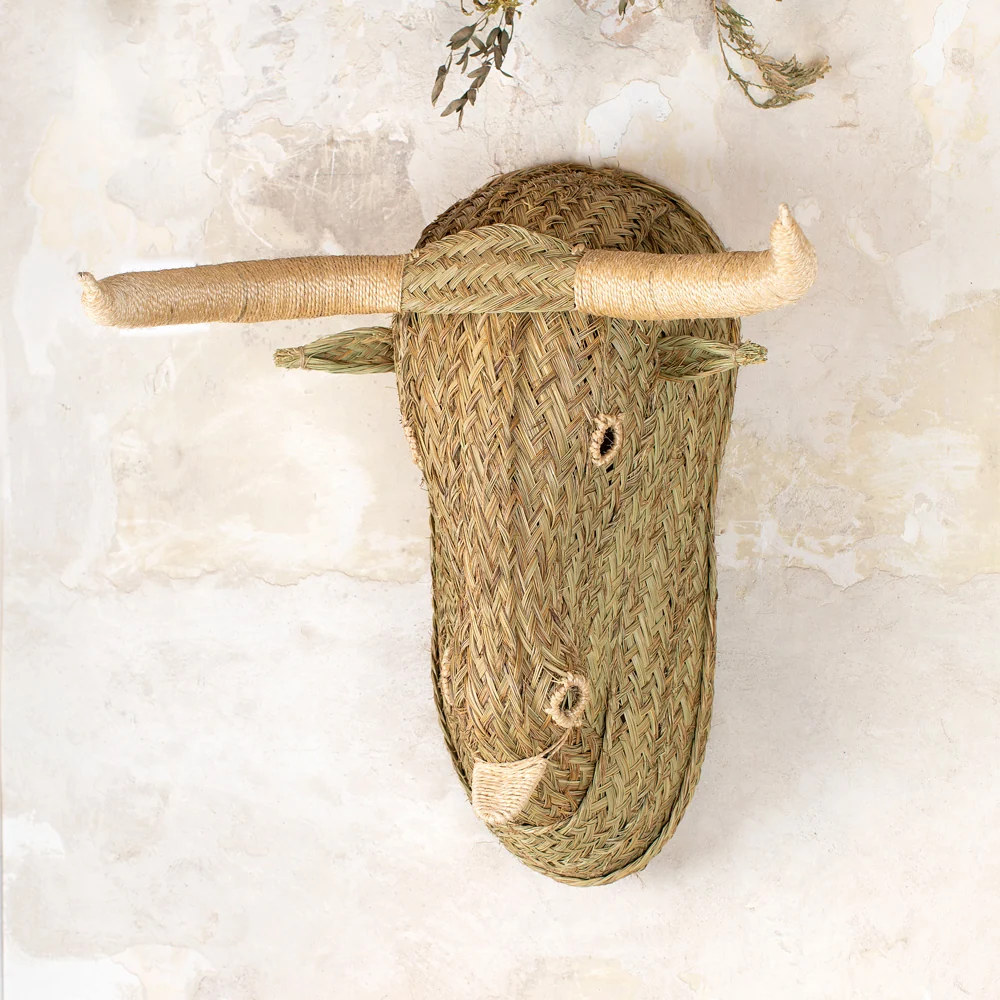 Toro Esparto XL Jacinto Luque