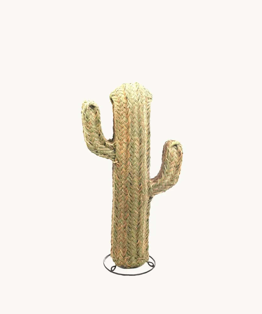 CACTUS DE ESPARTO, 80 CM.