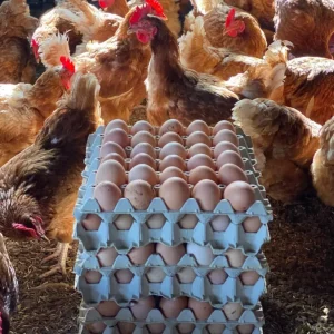 Huevos El Rancho