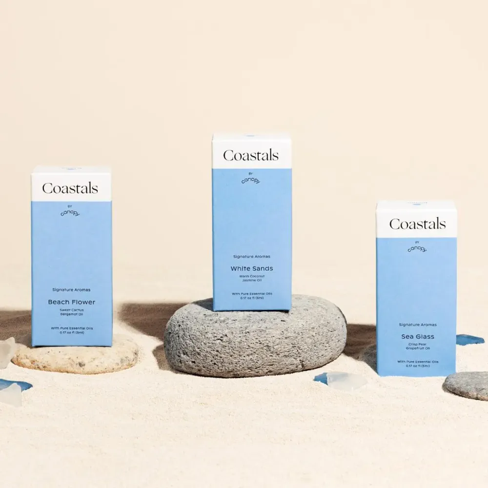 Canopy: Kit de aromas costeros