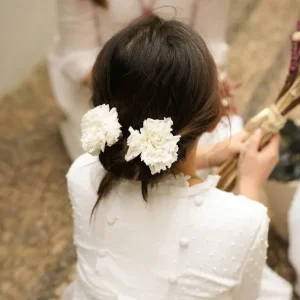 CLAVEL BLANCO PRESERVADO
