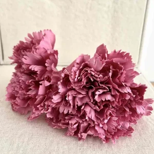 CLAVEL ROSA CHICLE