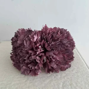 CLAVEL ROSA OSCURO