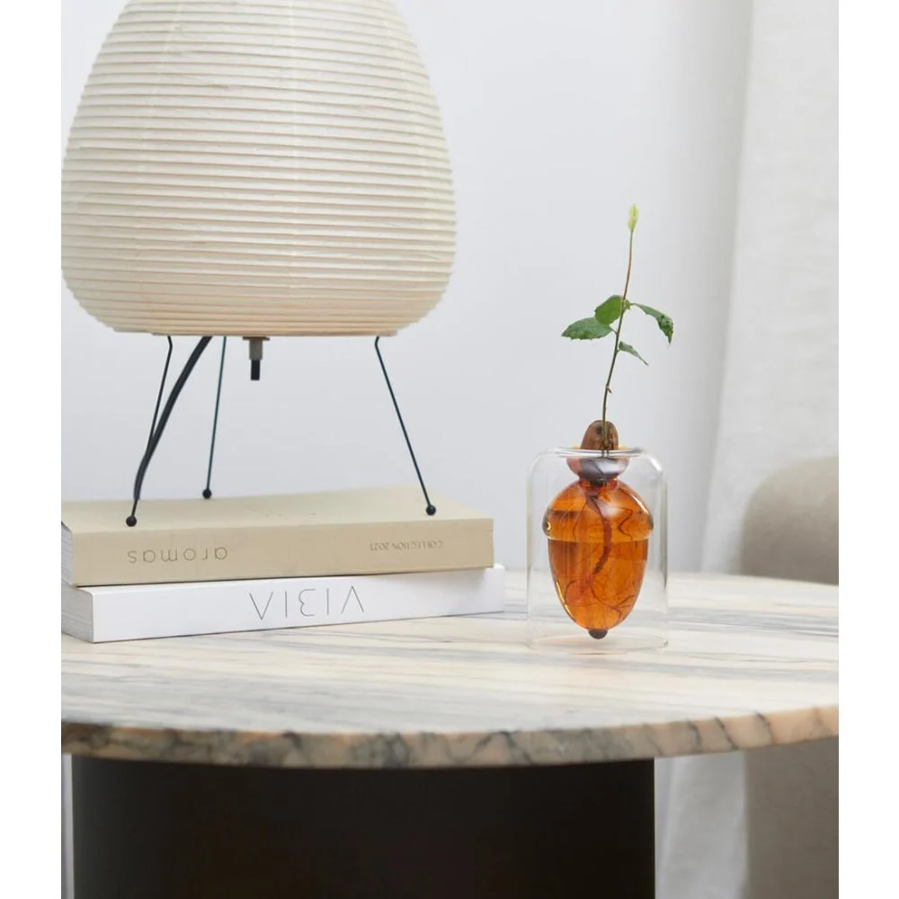 Florero Acorn