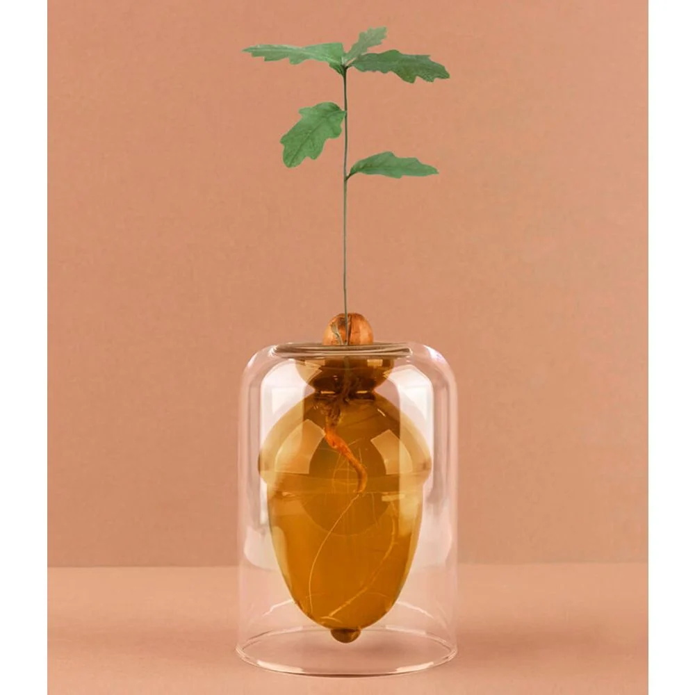 Florero Acorn