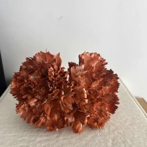 CLAVEL TEJA PINTADO