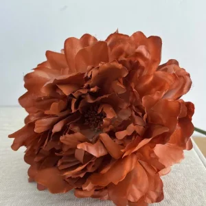 PEONIA TEJA