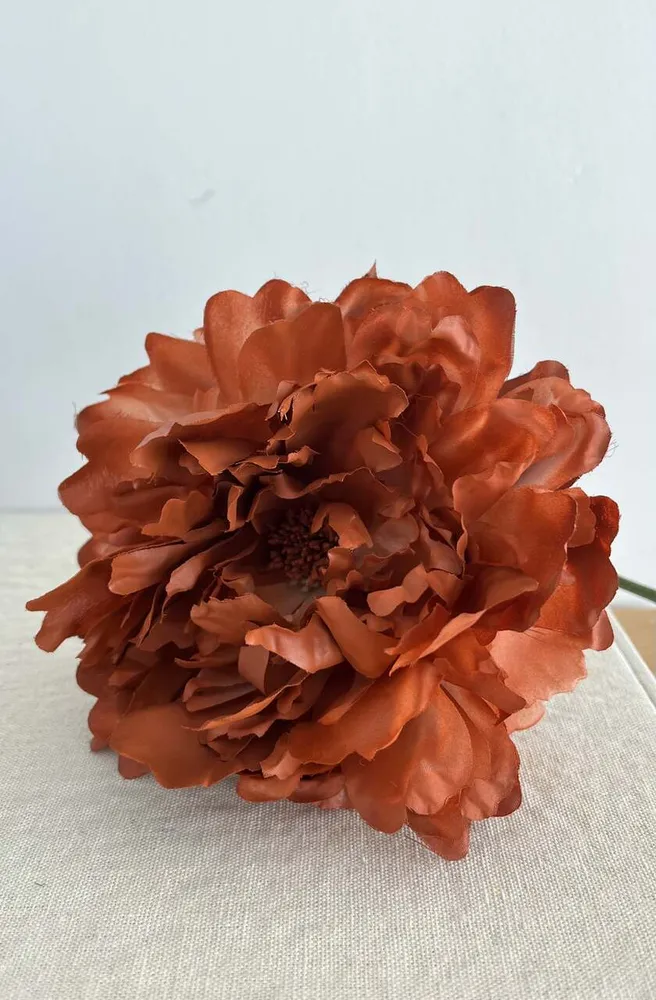 PEONIA TEJA