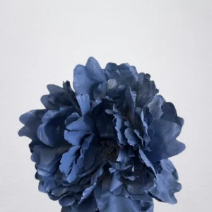PEONIA AZUL INDIGO caapellina