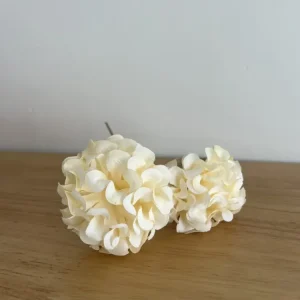 GERANIO MINI CRUDO