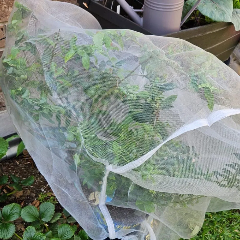 Bolsas Protectoras para Arboles 1.4x1.8 M Paquete de 4
