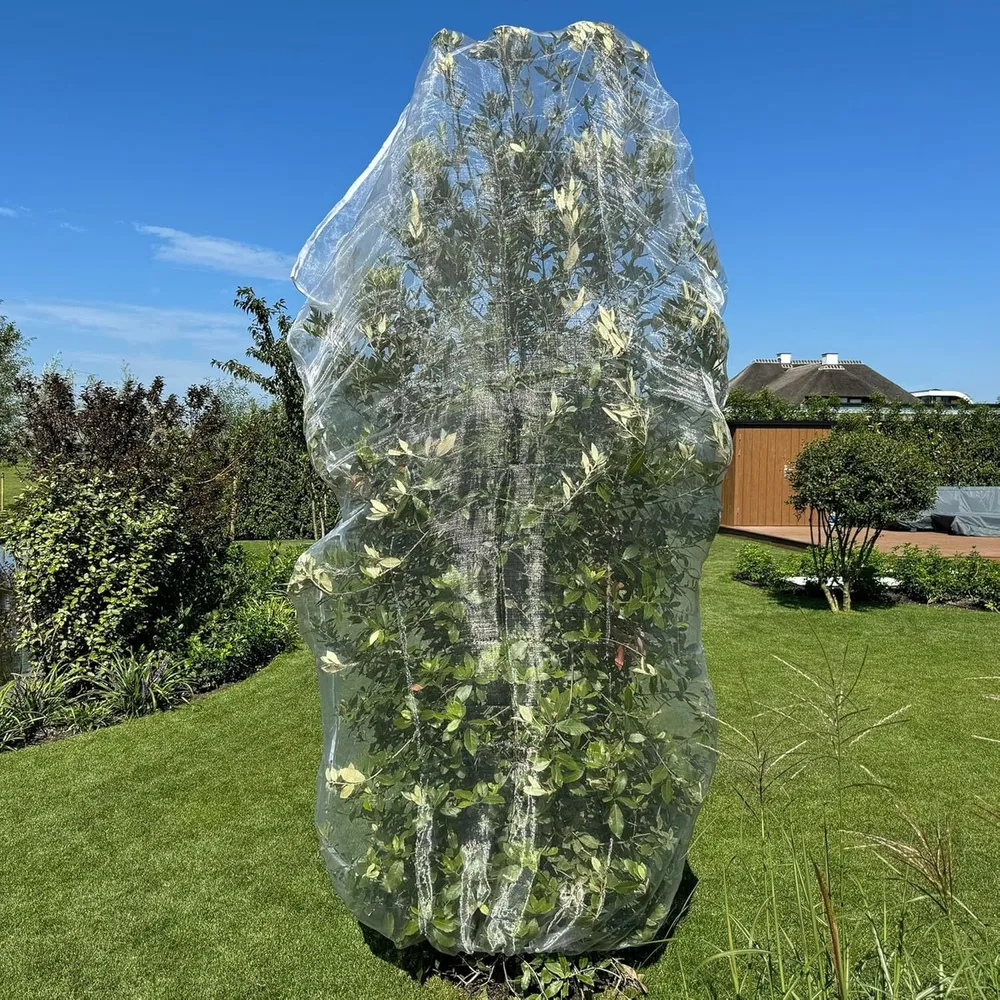 Bolsas Protectoras para Arboles Frutales XL | Red de Jardin 6