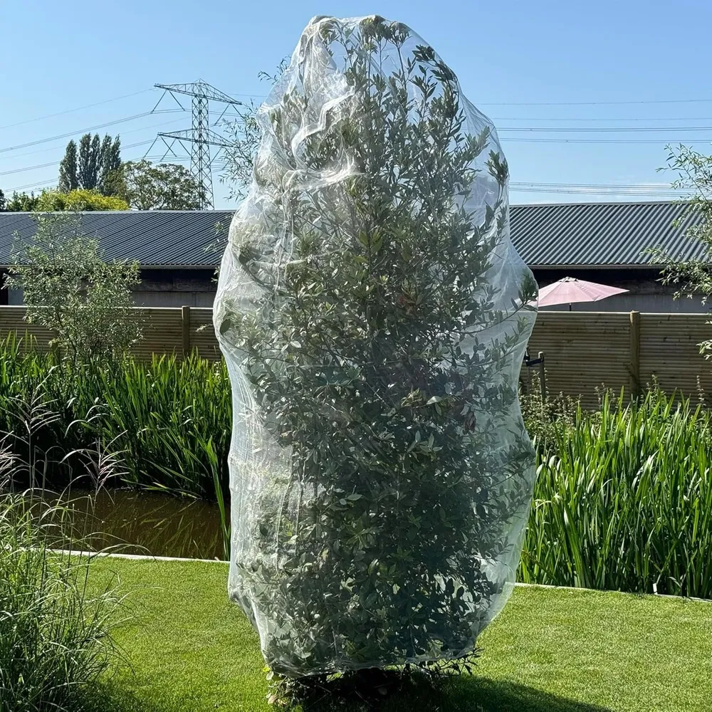 Bolsas Protectoras para Arboles Frutales XL | Red de Jardin 6
