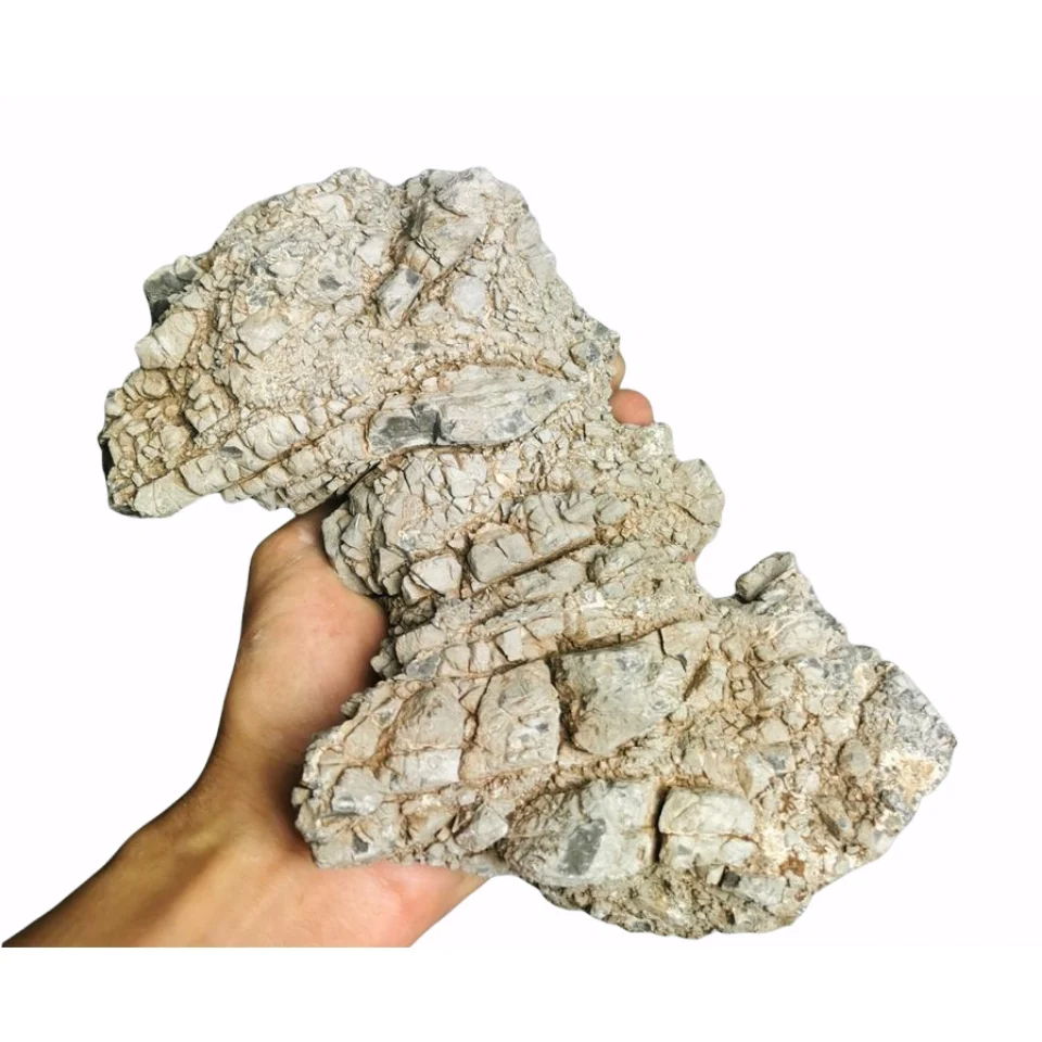 AMELIA ROCK LITTLE TREE DESIGN BIOTOPES
