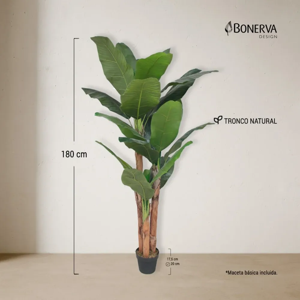 Platanera Nature 180 BONERVA