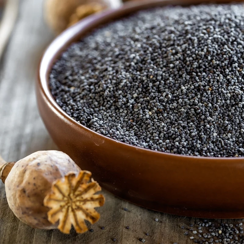 Semillas de amapola 1 lb chocolatisimo