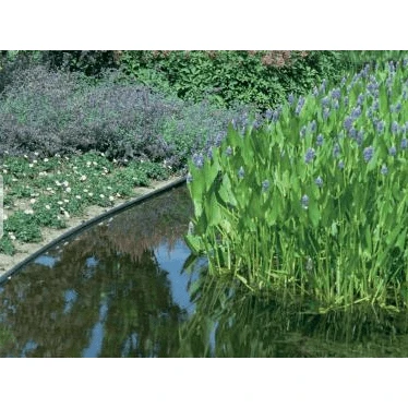 Ecolat recta Gris - 2M x 19CM x 0.7CM - Bordillo para estanque ECOO