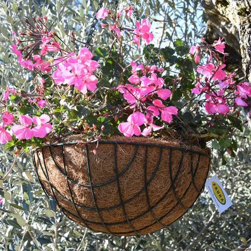 Recambio de Coco Macetero 40cm Novedad 2023 Faura