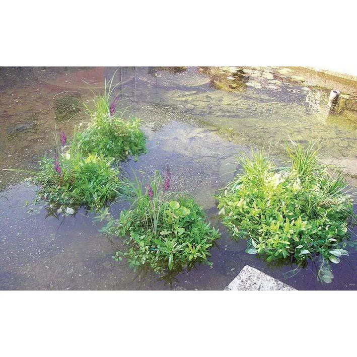 Isla flotante para plantas acuáticas rectangular 121CM x 43CM Foudebassin.com