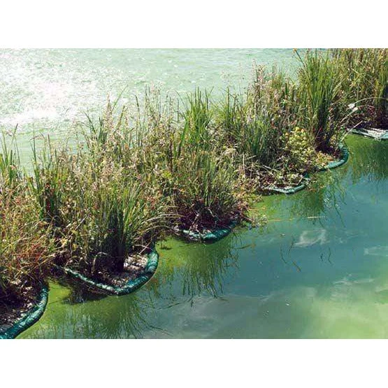 Isla flotante para plantas acuáticas rectangular 121CM x 43CM Foudebassin.com