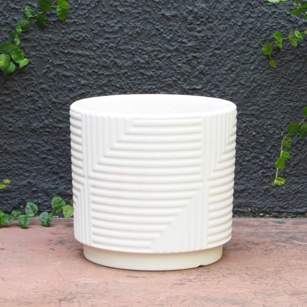 Picaflor M Blanco