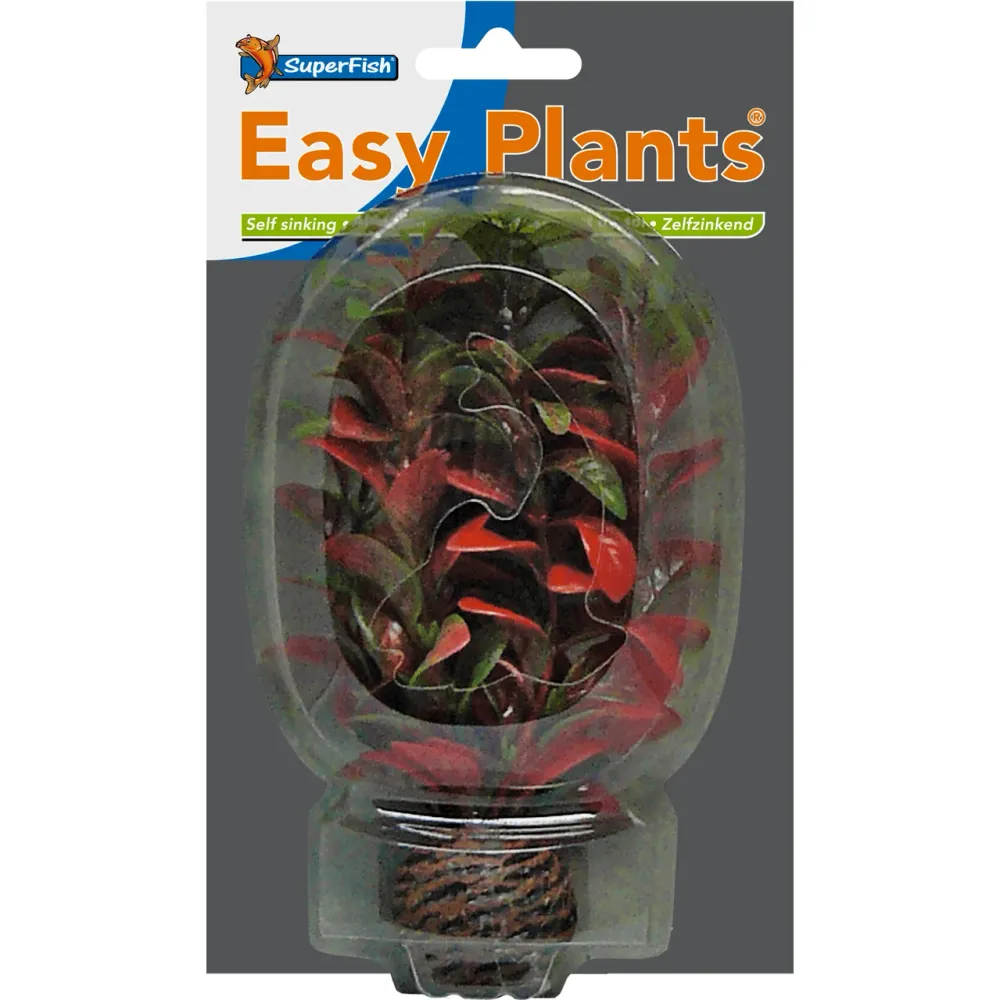 SF Easy Plant pequeñ N°7 (13cm) Superfish