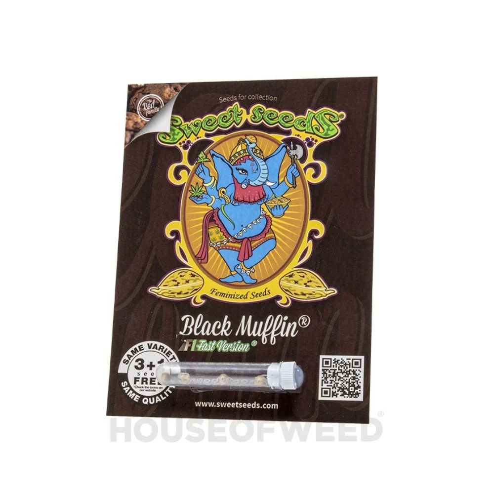 Black Muffin F1 Fast Version® Sweet Seeds