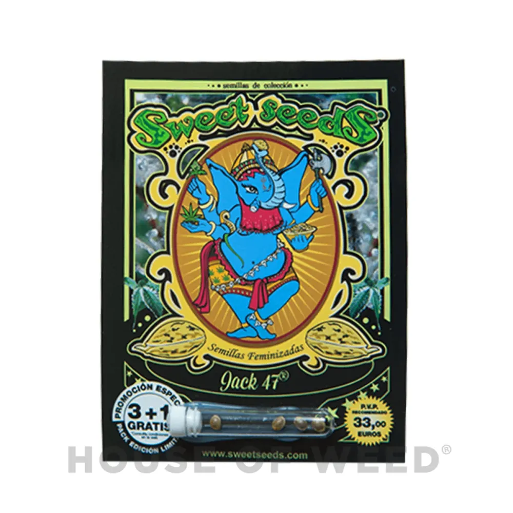 Jack 47® Sweet Seeds
