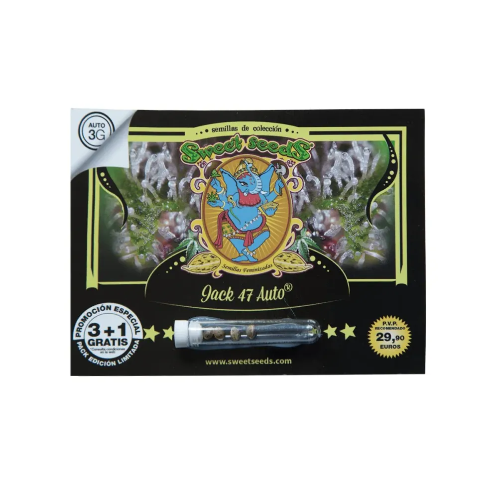 Jack 47 XL Auto® Sweet Seeds