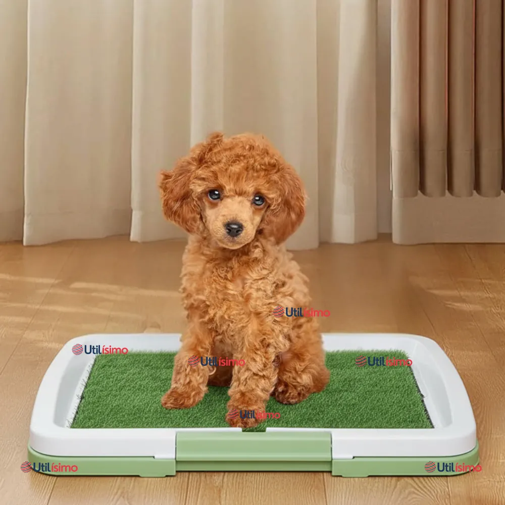 Baño Ecológico Reutilizable Para Perros Adiestramiento Mascotas Utilísimo Chile