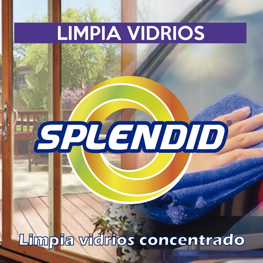 Limpia Vidrios