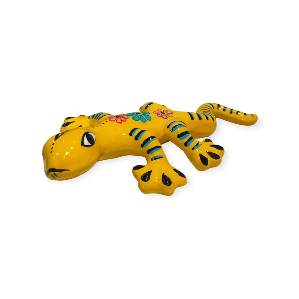 Salamandra Celeste Casa Milagros