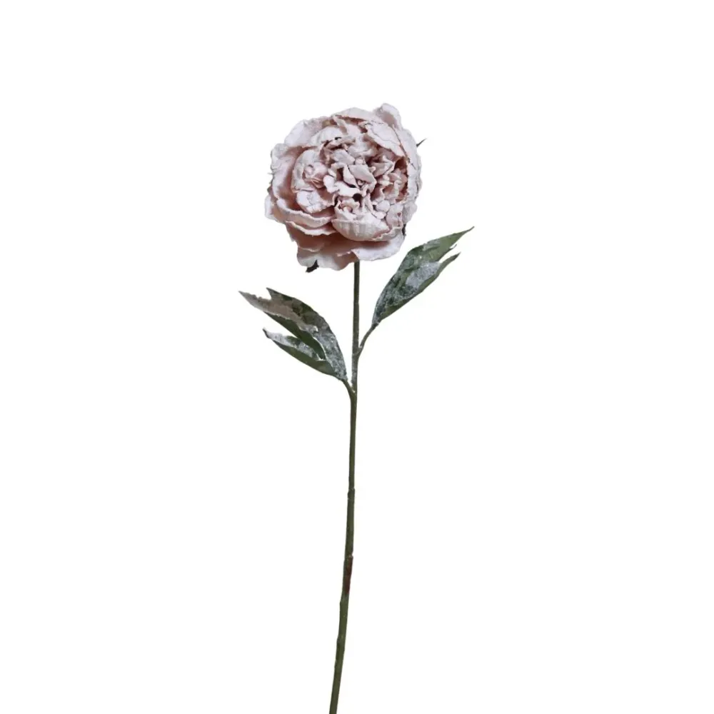 SS PEONY ROSA/SNOW 27.5" Rosa