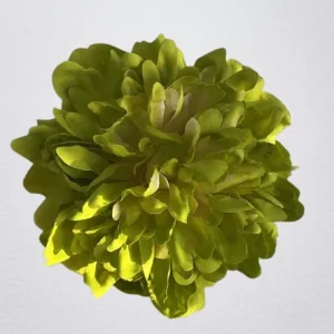 PEONIA LIMA MEDIUM