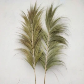 3x Palmera Natural de Rayung - 2m AW Artisan S.L