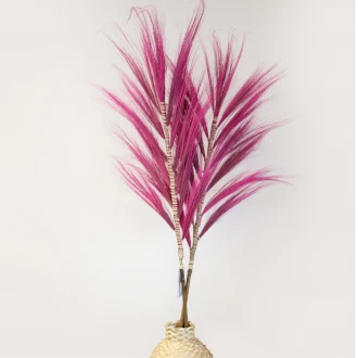 3x Palmera Rosa de Rayung- 1.6m AW Artisan S.L