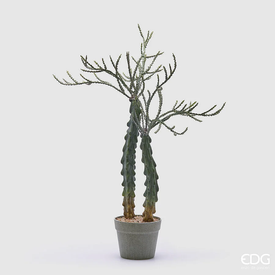 Árbol Cactus EDG
