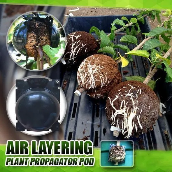 Bola de enraizamiento de plantas AGsupplies.com.au