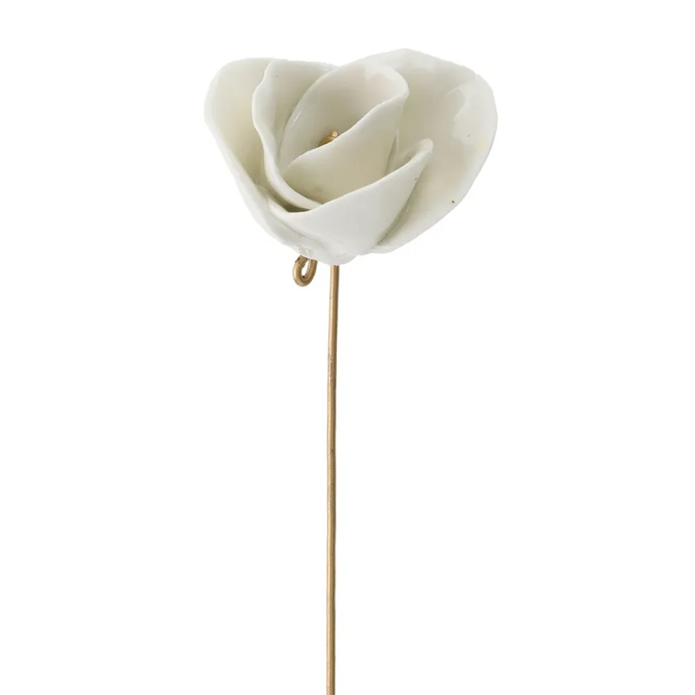 ROSA UNITARIA BLANCO