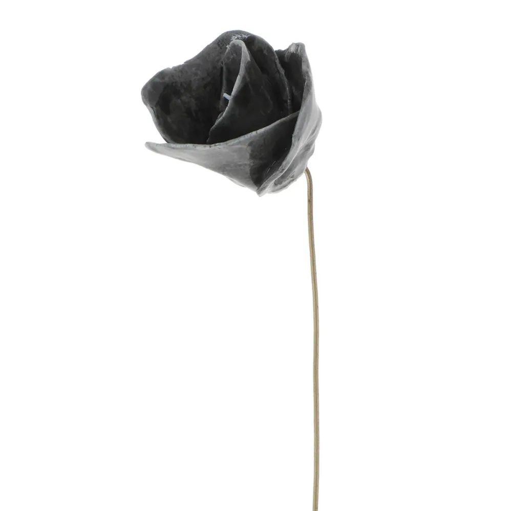 ROSA UNITARIA GRIS