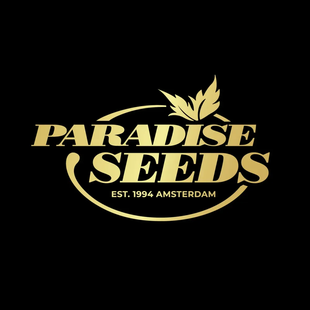 CBDivine Paradise Seeds