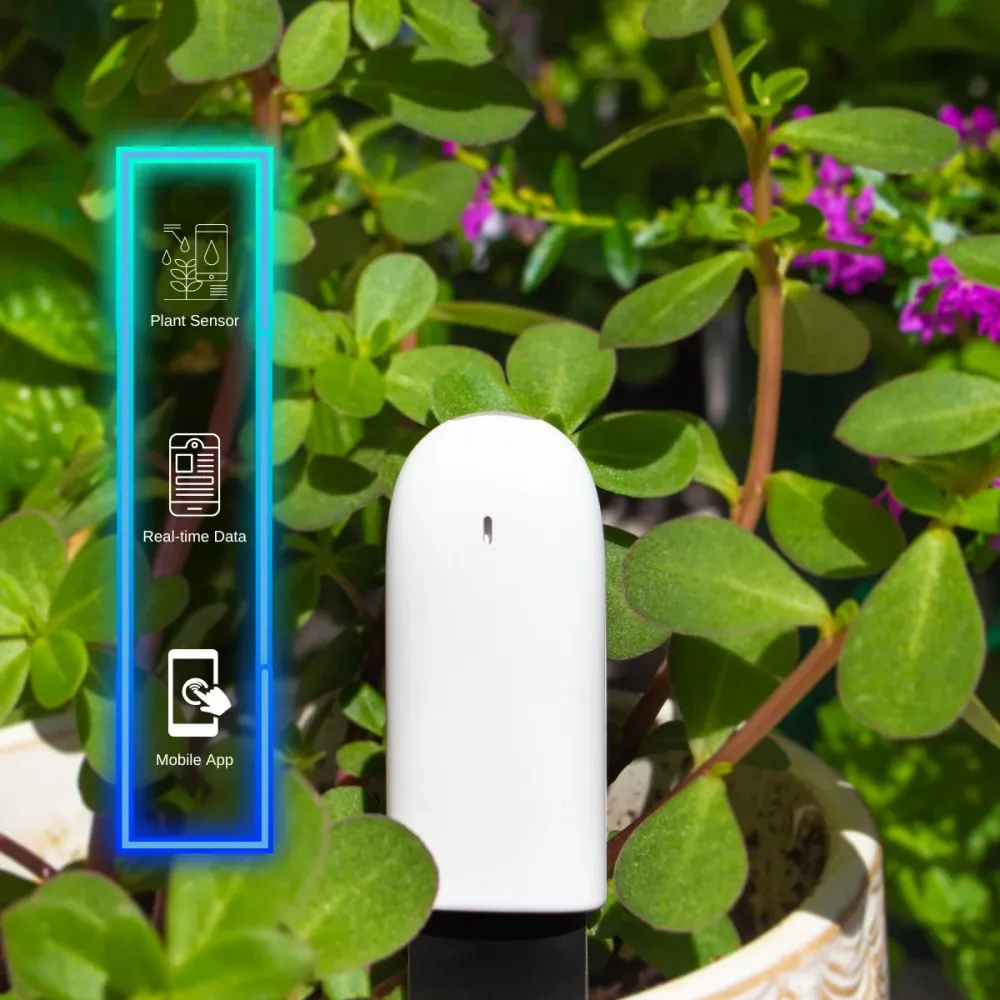 Sensores inteligentes plantas y flores The Connected Shop