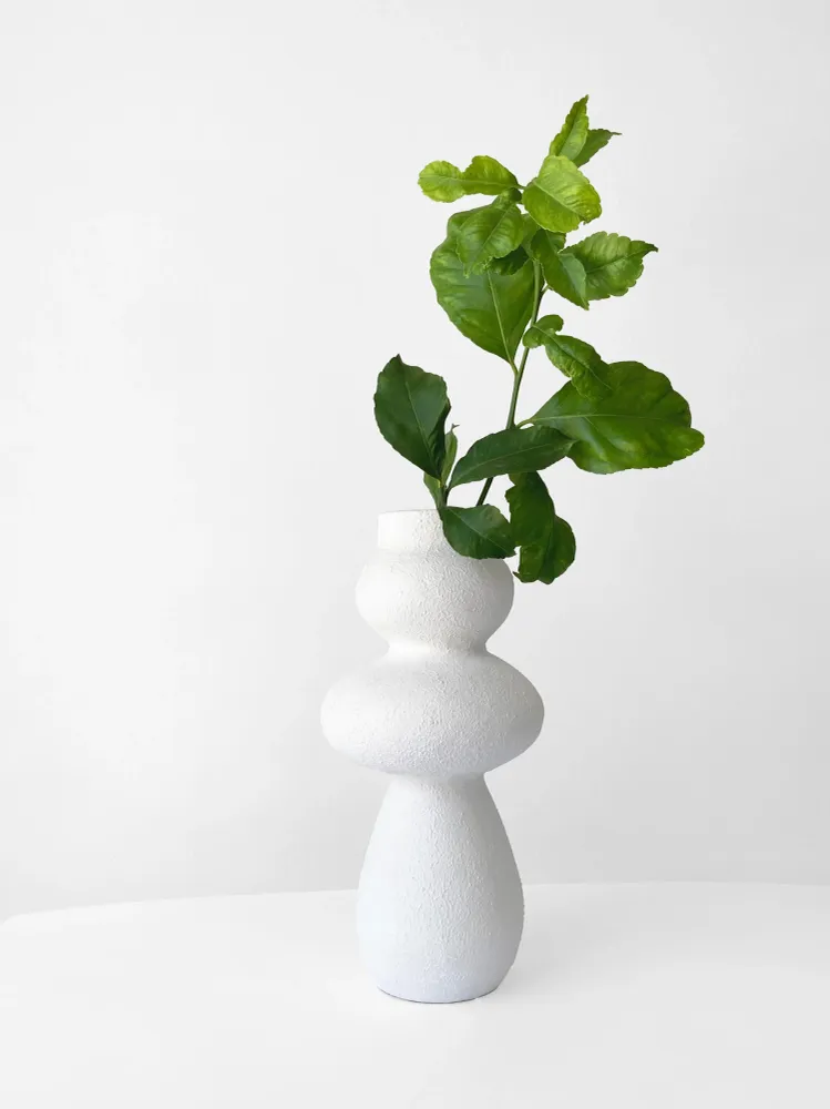 Vasija Blossom