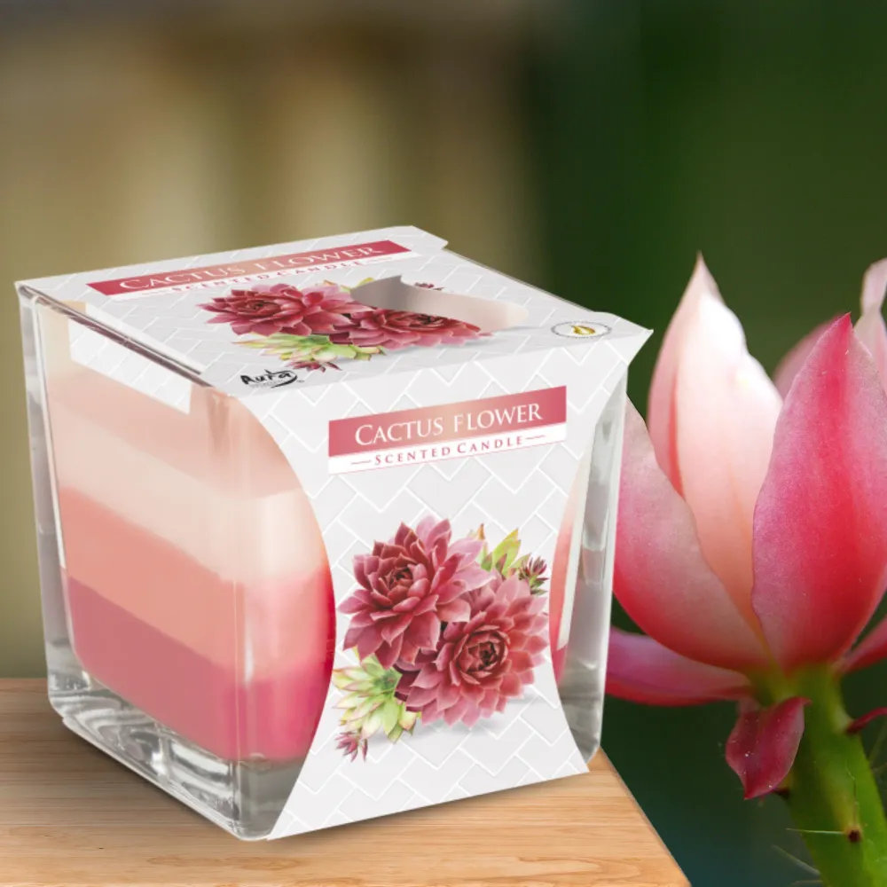 Rainbow Jar Vela - Flor de Cactu AWARTISAN
