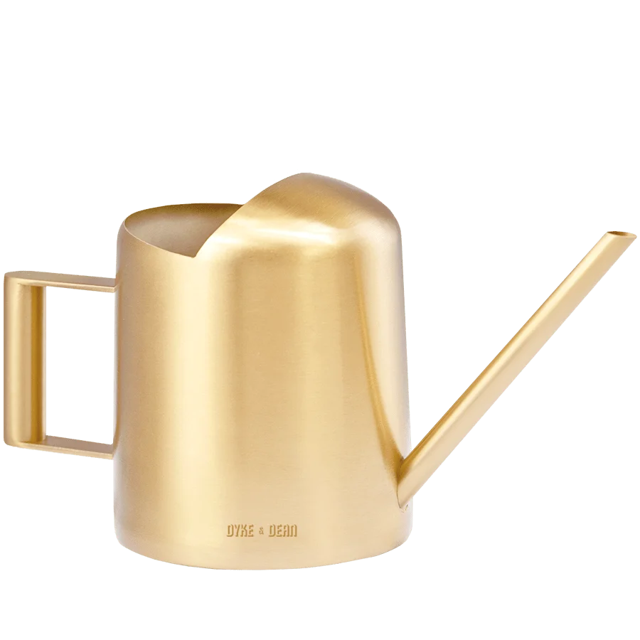 AGUA INOXIDABLE ORO DYKE & DEAN